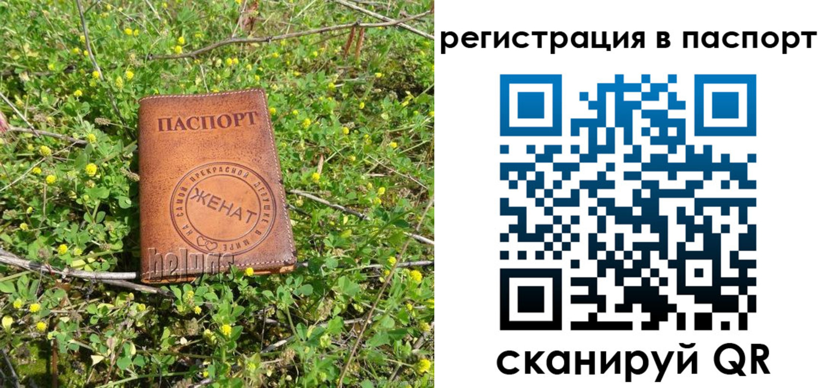 прописка для кредита в Хотьково